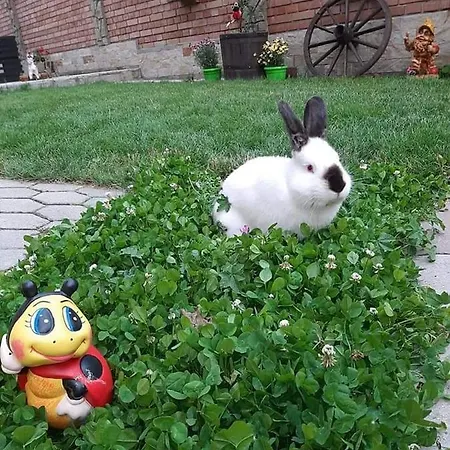 Къща за гости Рожен Рест Къща за гости *